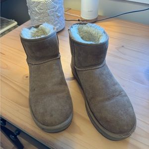 Short Chestnut Ugg Boots